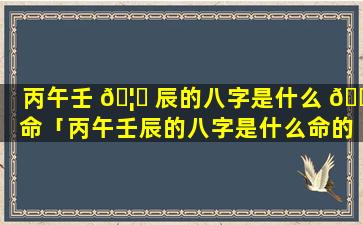 丙午壬 🦉 辰的八字是什么 💐 命「丙午壬辰的八字是什么命的」